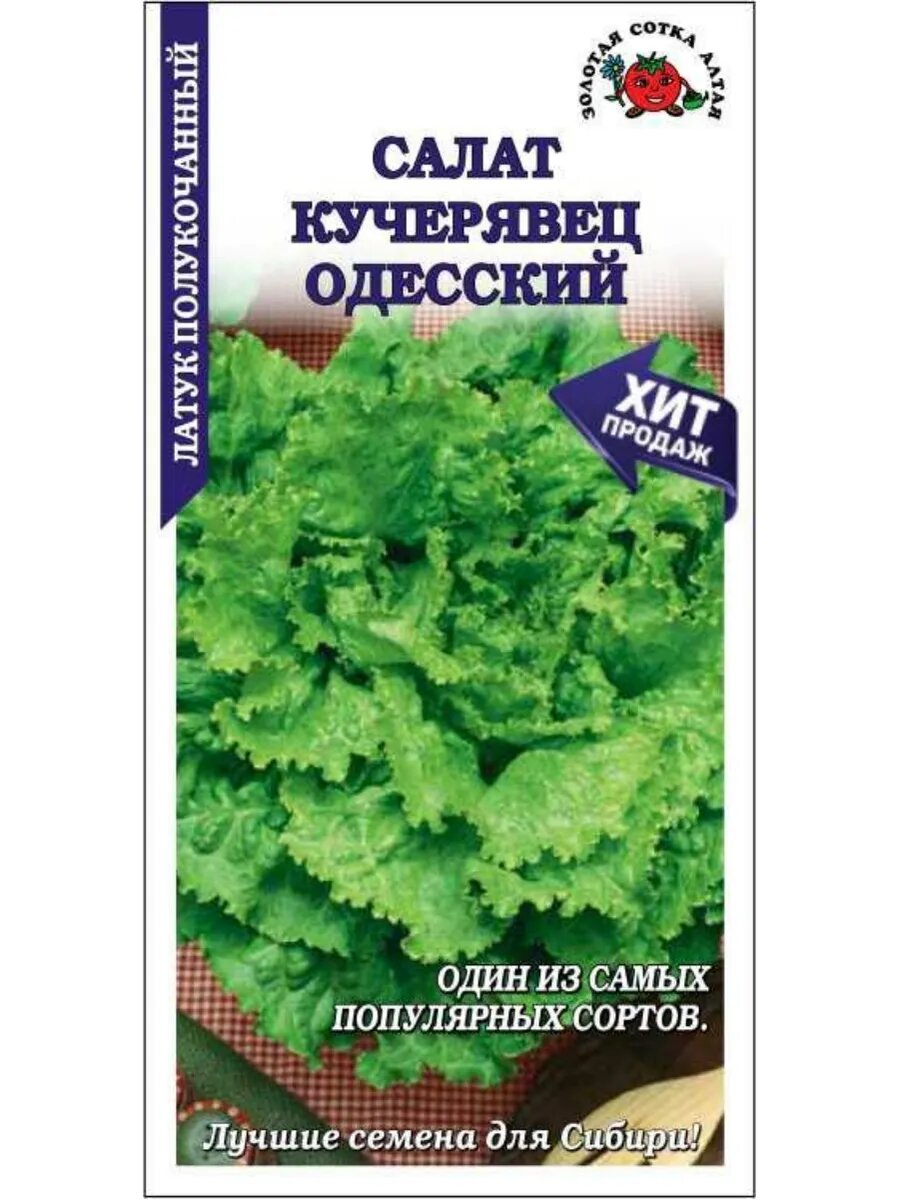 Салат Кучерявец Одесский 05г