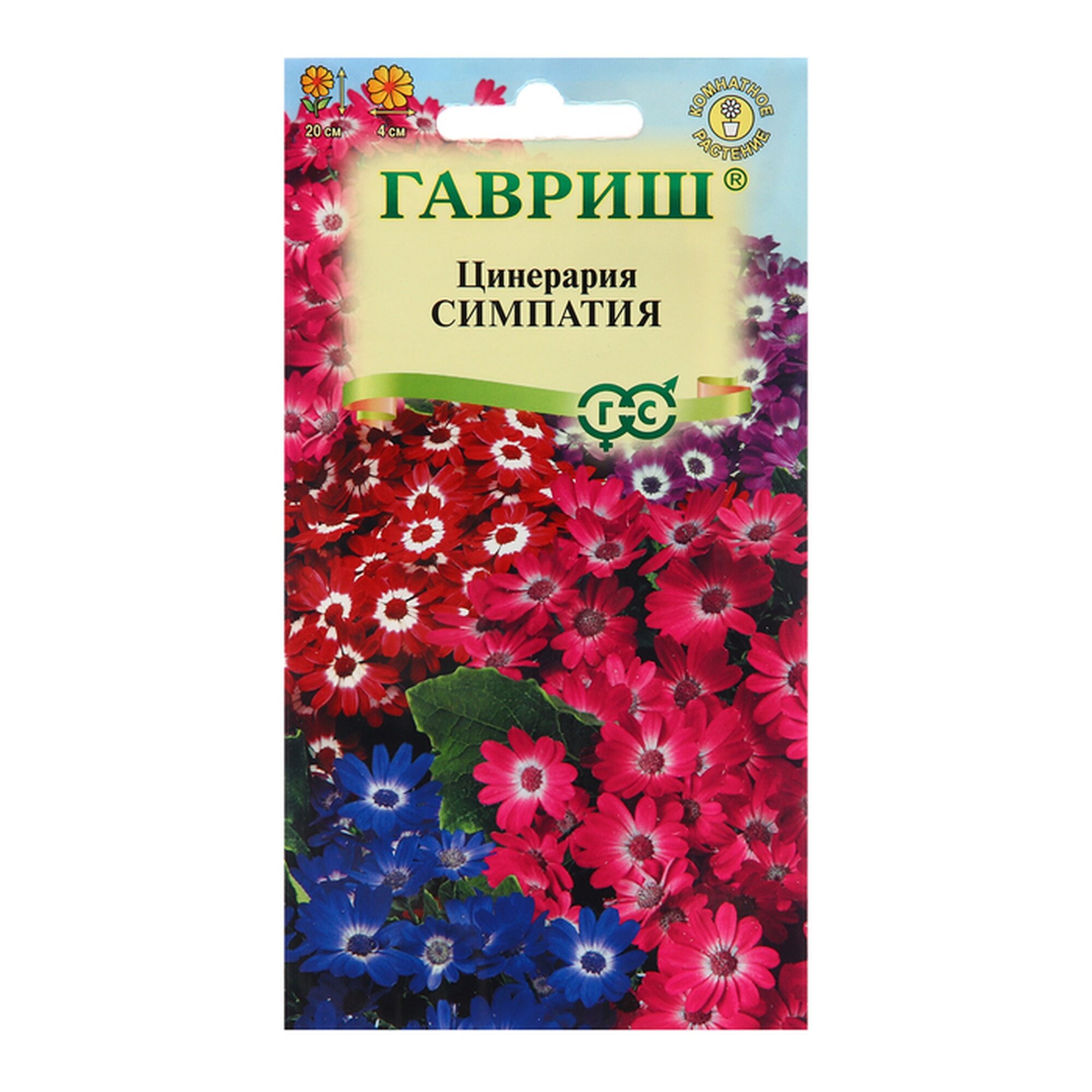 Семена Гавриш Цинерария 