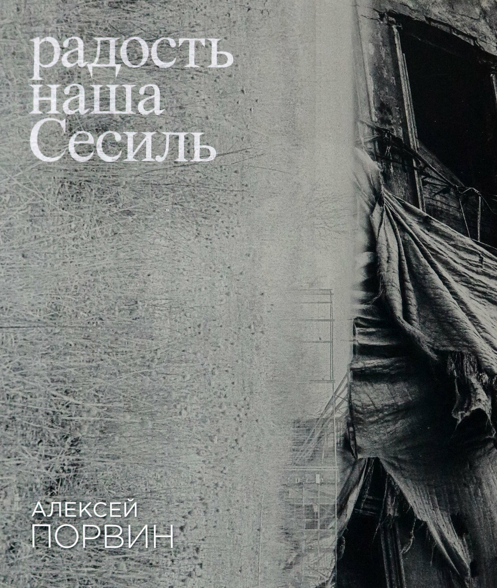 Радость наша Сесиль (Порвин А.) - фото №17