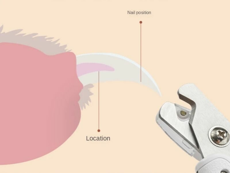 Поводки Для Животных Xiaomi Триммер для стрижки когтей домашних животных, для груминга, цвет: белый