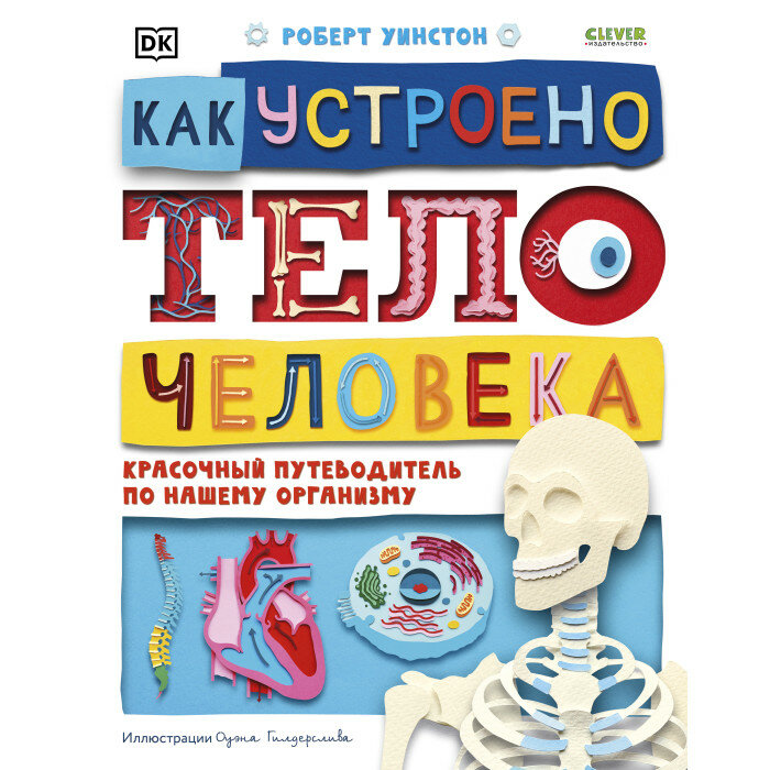 Книга Как устроено тело человека. Красочный путеводитель по нашему организму - фото №14