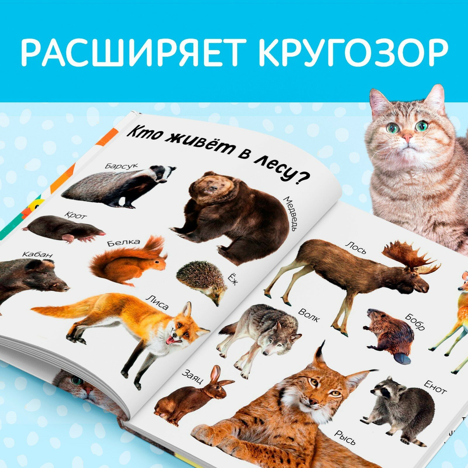 Книга буква-ленд "Первые слова малыша", развивающая, для детей и малышей