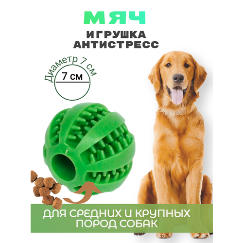 Мяч для собак 7 см зеленый