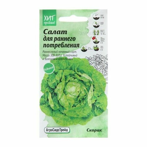 Семена Салат Скорик, 1 г ( 1 упаковка ) семена салат скорик 1г