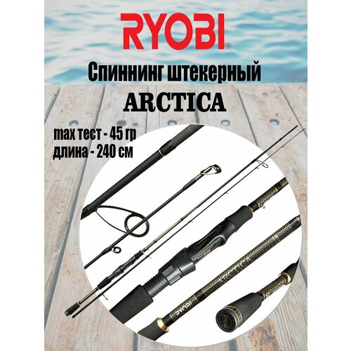 Спиннинг штекерный RYOBI ARCTICA 2,40 10-45g