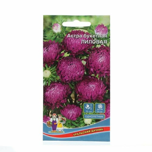 Семена Цветов Астра букетная Лиловая , 0 ,2 г ( 1 упаковка )