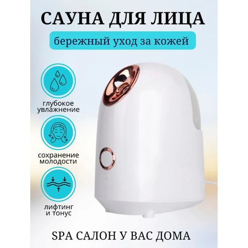 Ионный отпариватель для лица Сауна для лица Вапоризатор для проведения домашних процедур 199900₽