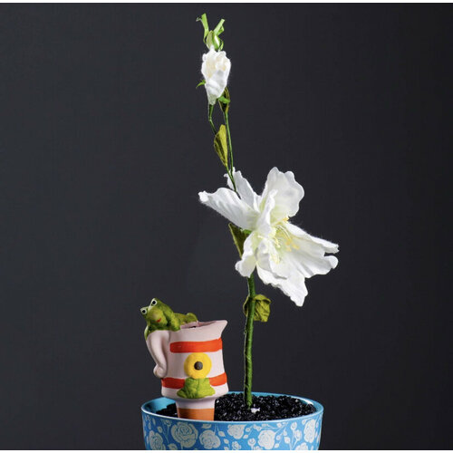 Набор из 12 оросителей для домашних растений 