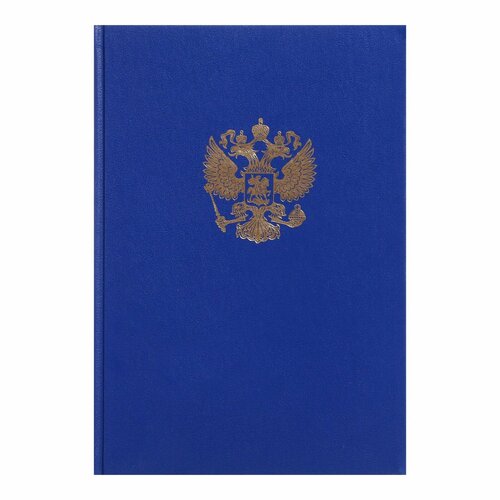 Книга учета, 96 листов, обложка бумвинил, блок офсет, клетка, цвет синий, герб (тиснение золотой фольгой) белый, желтый, красный, черный, розовый, синий, голубой