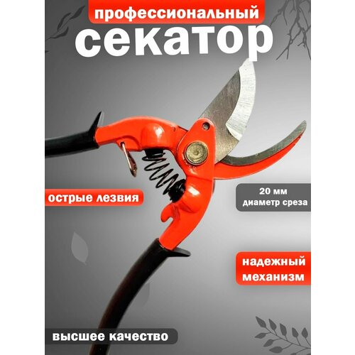 красный, черный, красный