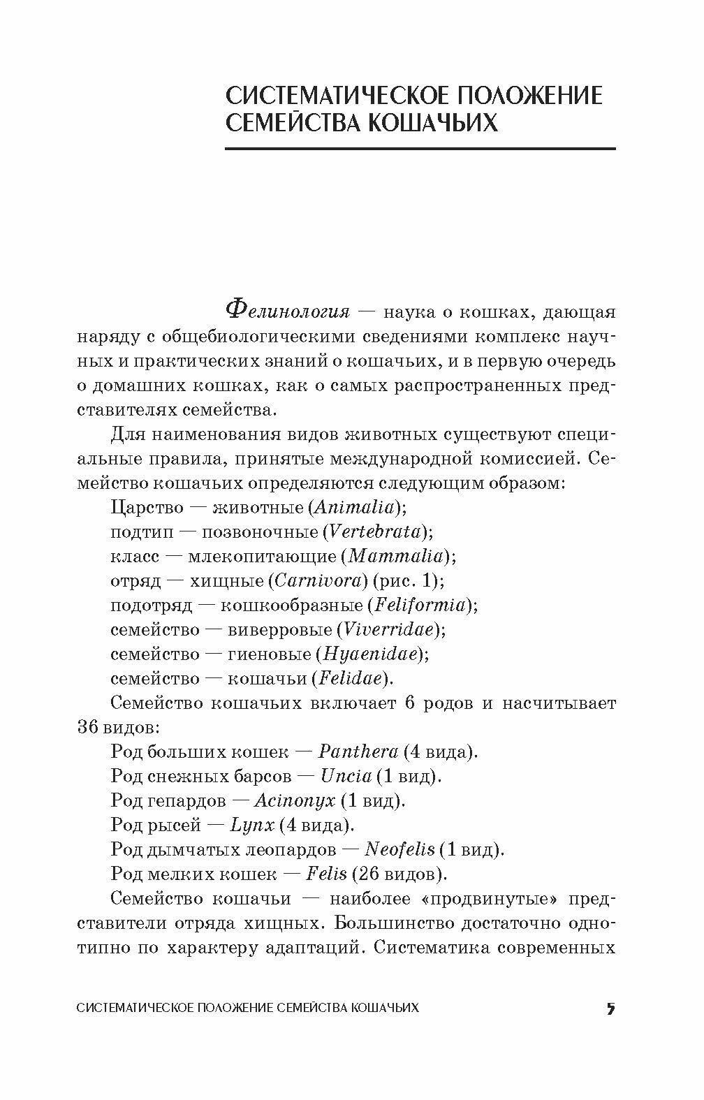 Фелинология. Учебное пособие (Блохина Татьяна Владимировна) - фото №5