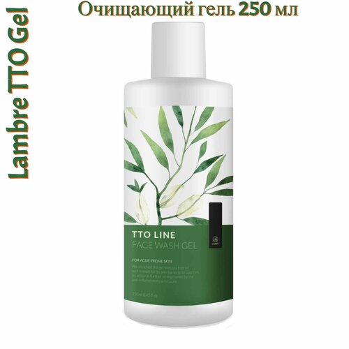 Очищающий гель для жирной и комбинированной кожи TTO GEL Ламбре 250мл 2717₽