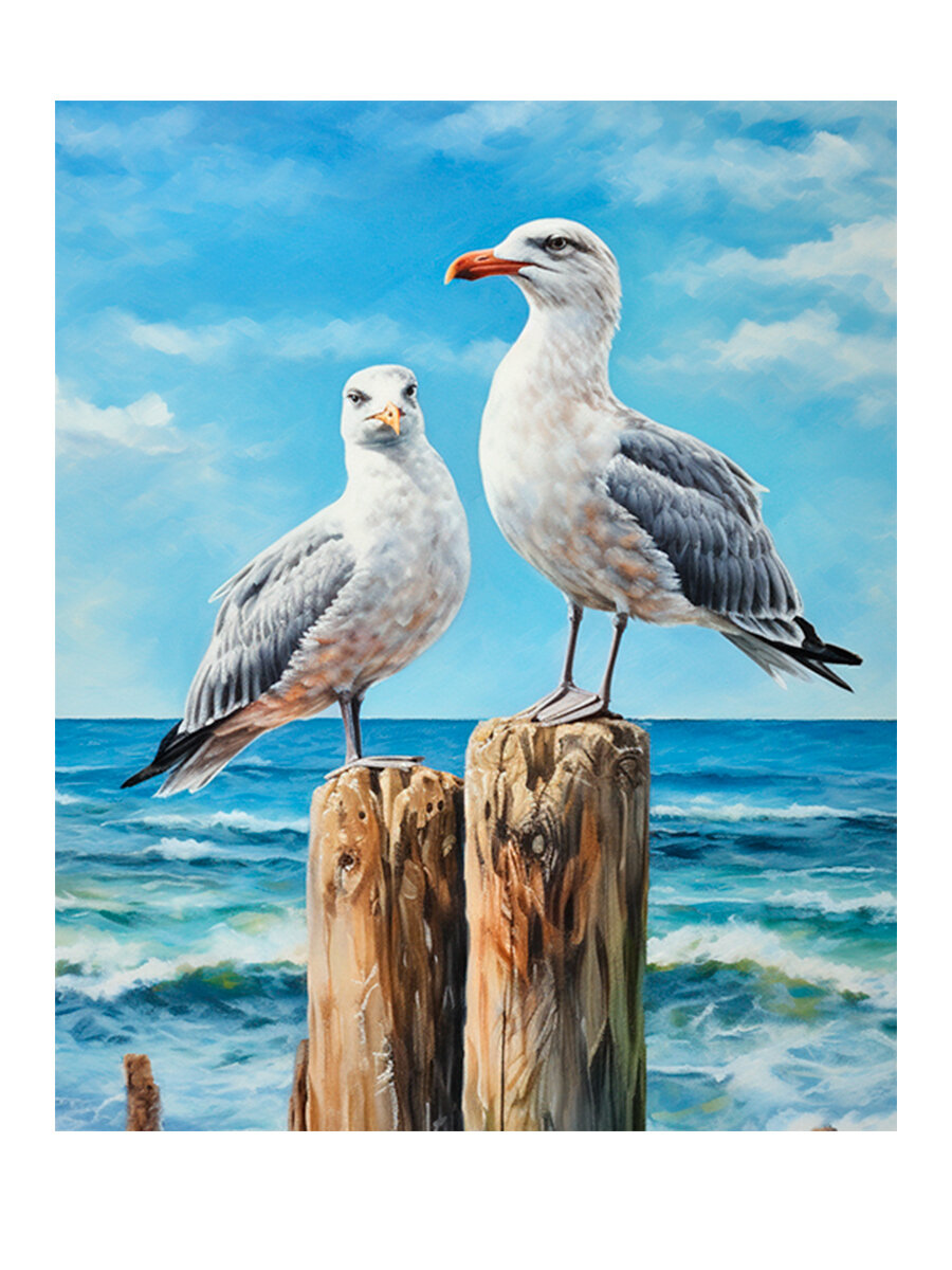 Картина на холсте Fbrush Морские птицы 40x50 см