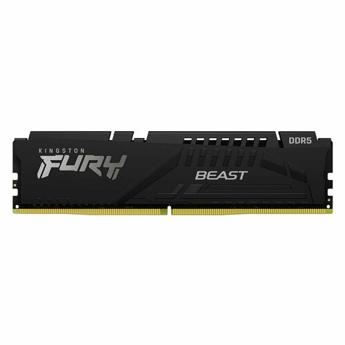 16GB Kingston DDR5 5600 DIMM FURY Beast Black EXPO Gaming Memory KF556C36BBE-16 Non-ECC CL36 125V 1RX8 RTL 923600₽