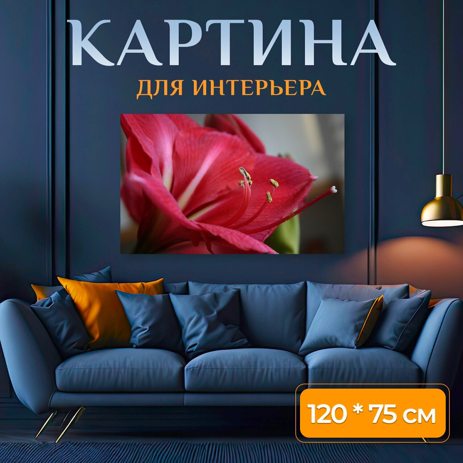 Картина на холсте "Амариллис, цветок, красный цветок" на подрамнике 120х75 см. для интерьера