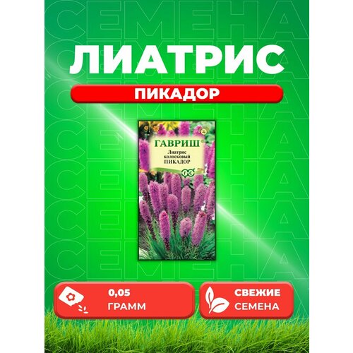 Лиатрис колосковый Пикадор, 0,05г, Гавриш семена лиатрис колосковый пикадор 0 05 гр 2 подарка