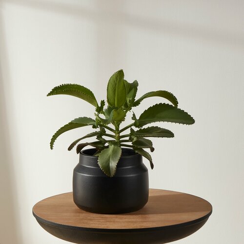 Кашпо EGLO PARKENT 428145 4490₽