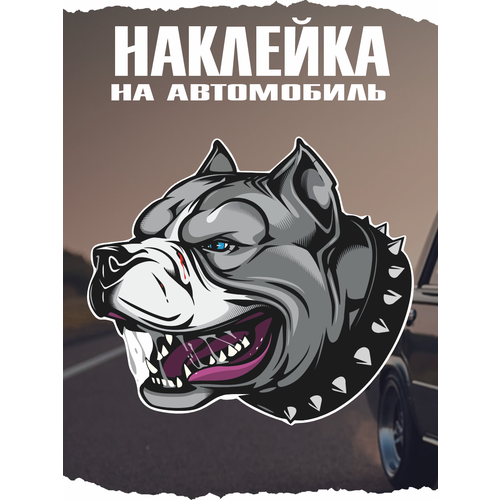 Наклейка на авто Питбуль в ошейнике