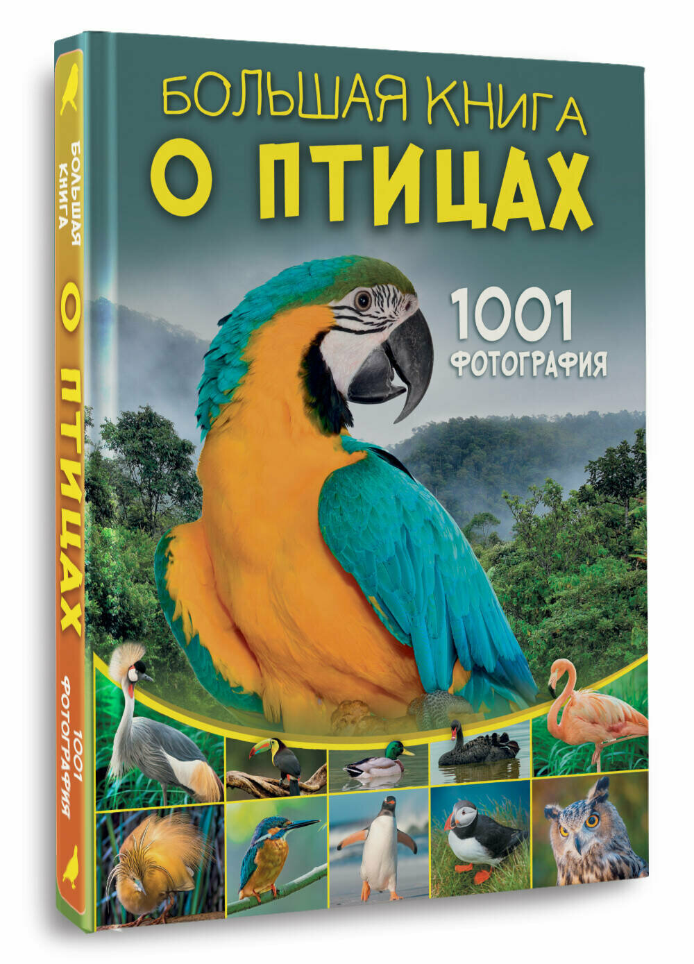 Большая книга о птицах. 1001 фотография Папуниди Е. А.