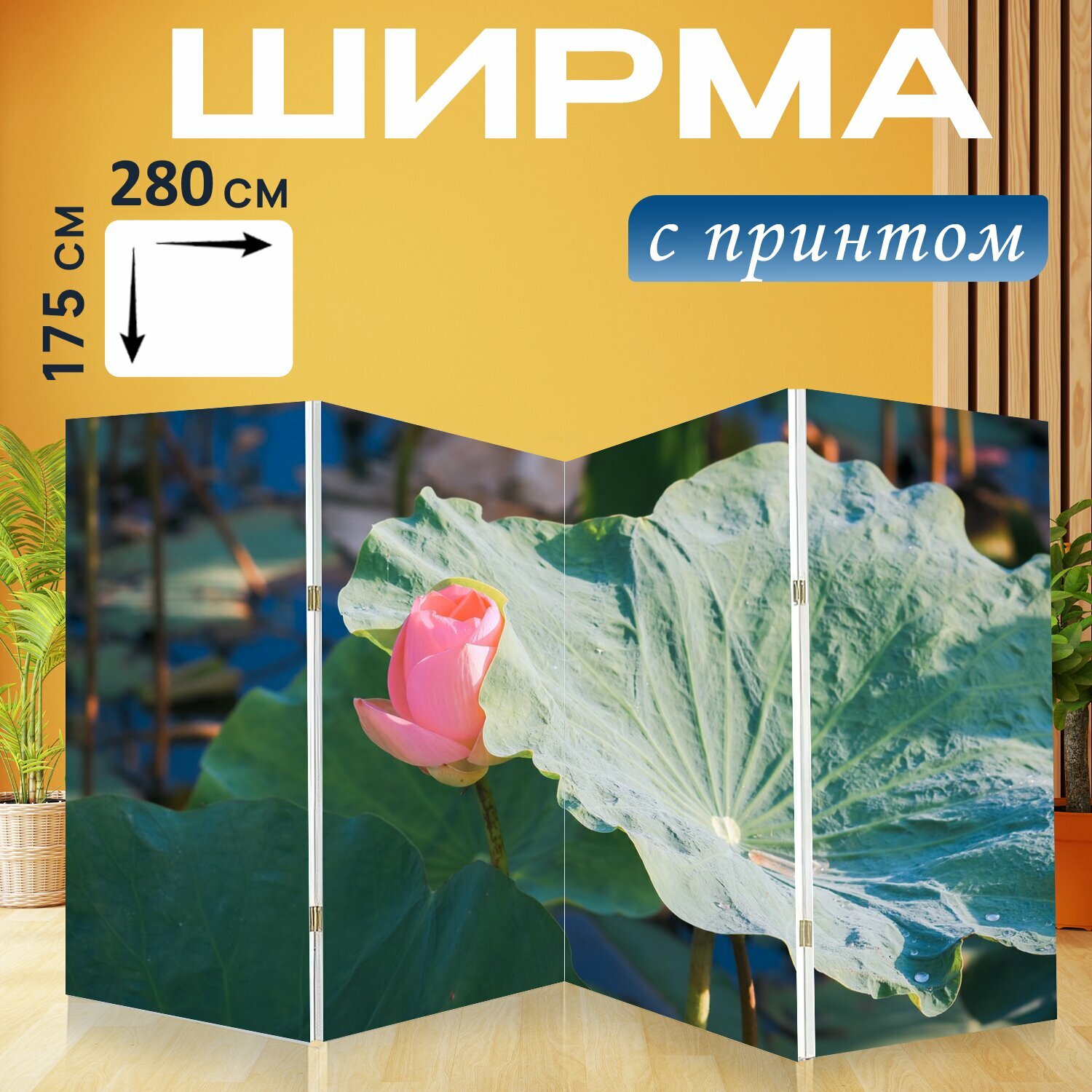 Ширма "Лотос, цветок, цветущий" перегородка для зонирования комнаты с принтом 280x175 см. на холсте