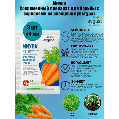 Avgust Миура, 4 мл