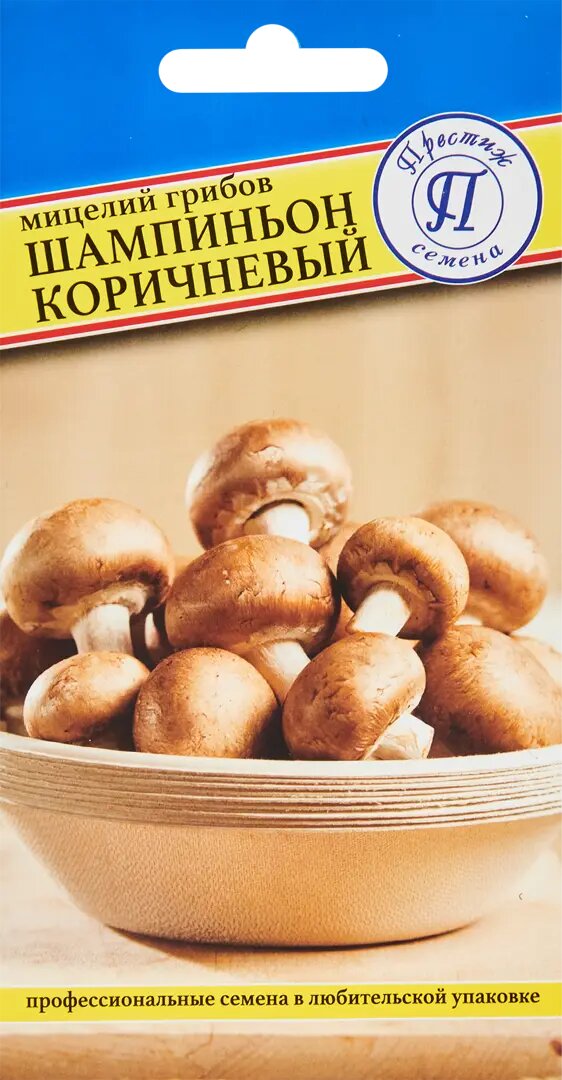 Мицелий грибов шампиньон коричневый