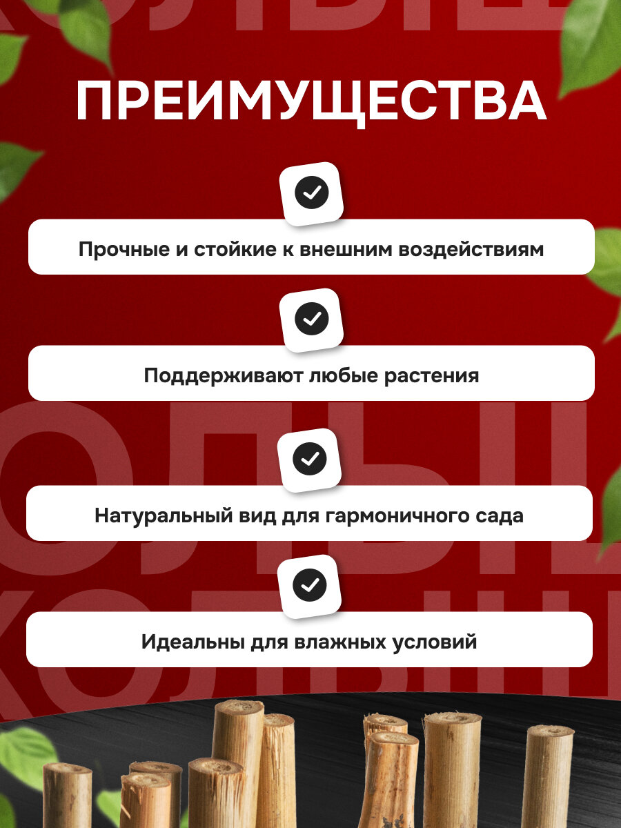 Колышки бамбуковые для растений и цветов 150 см 6/8 10 шт. — фото 1