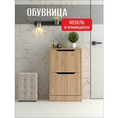 фото Обувница узкая для прихожей прима, 2 ящика, 50х24х81 см фабрика мебели династия