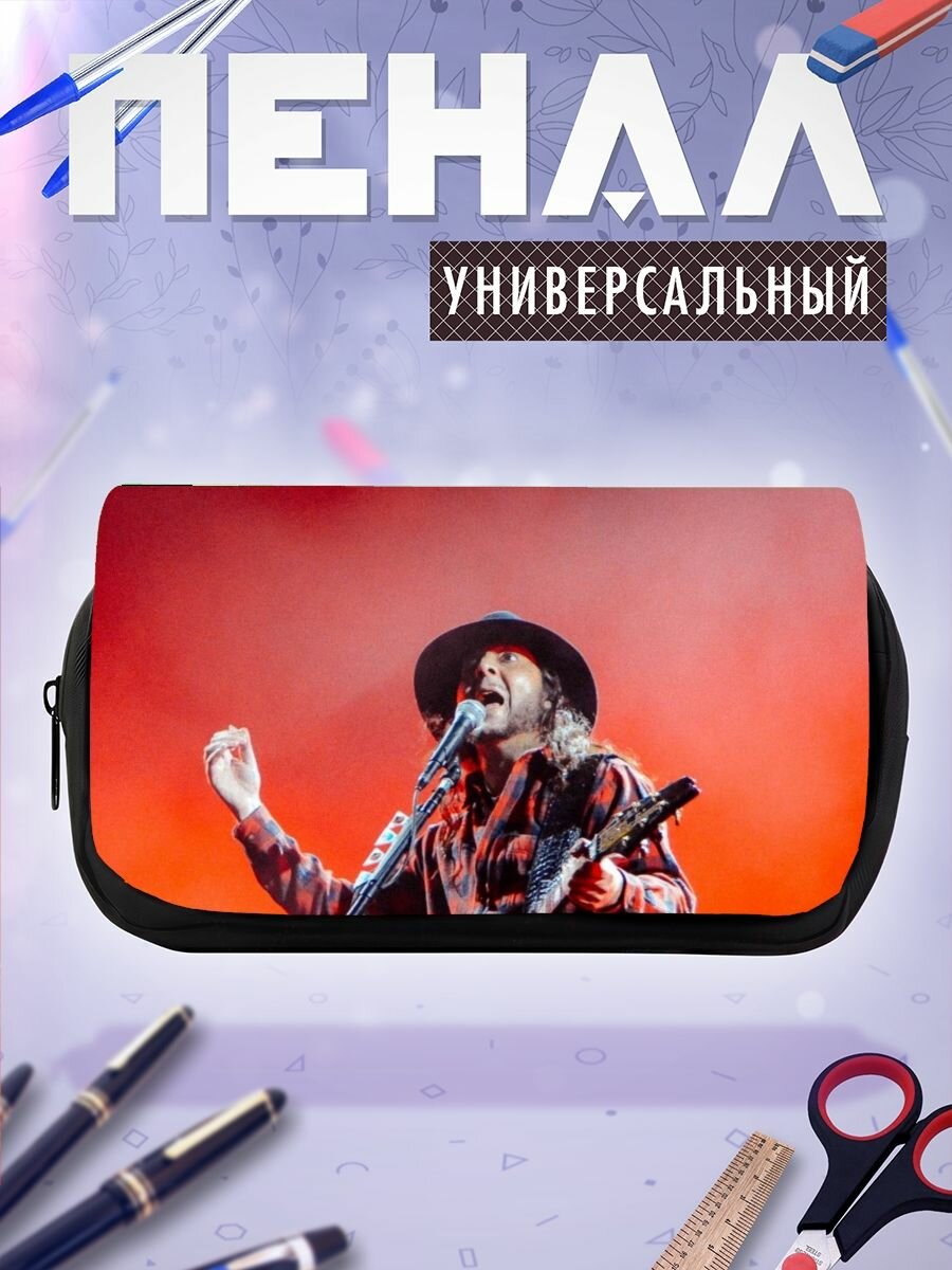 Школьный пенал музыкальный исполнитель Фестиваль Парк Видео