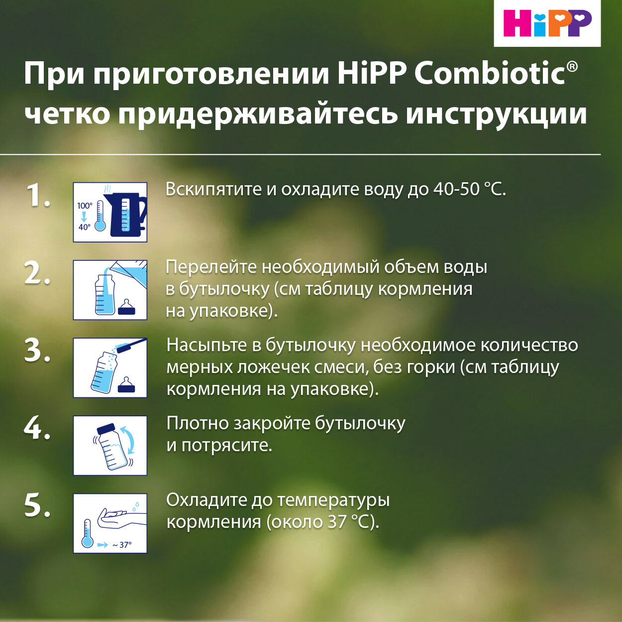 Сухая адаптированная последующая молочная смесь Hipp Combiotic 2, 900гр - фото №6