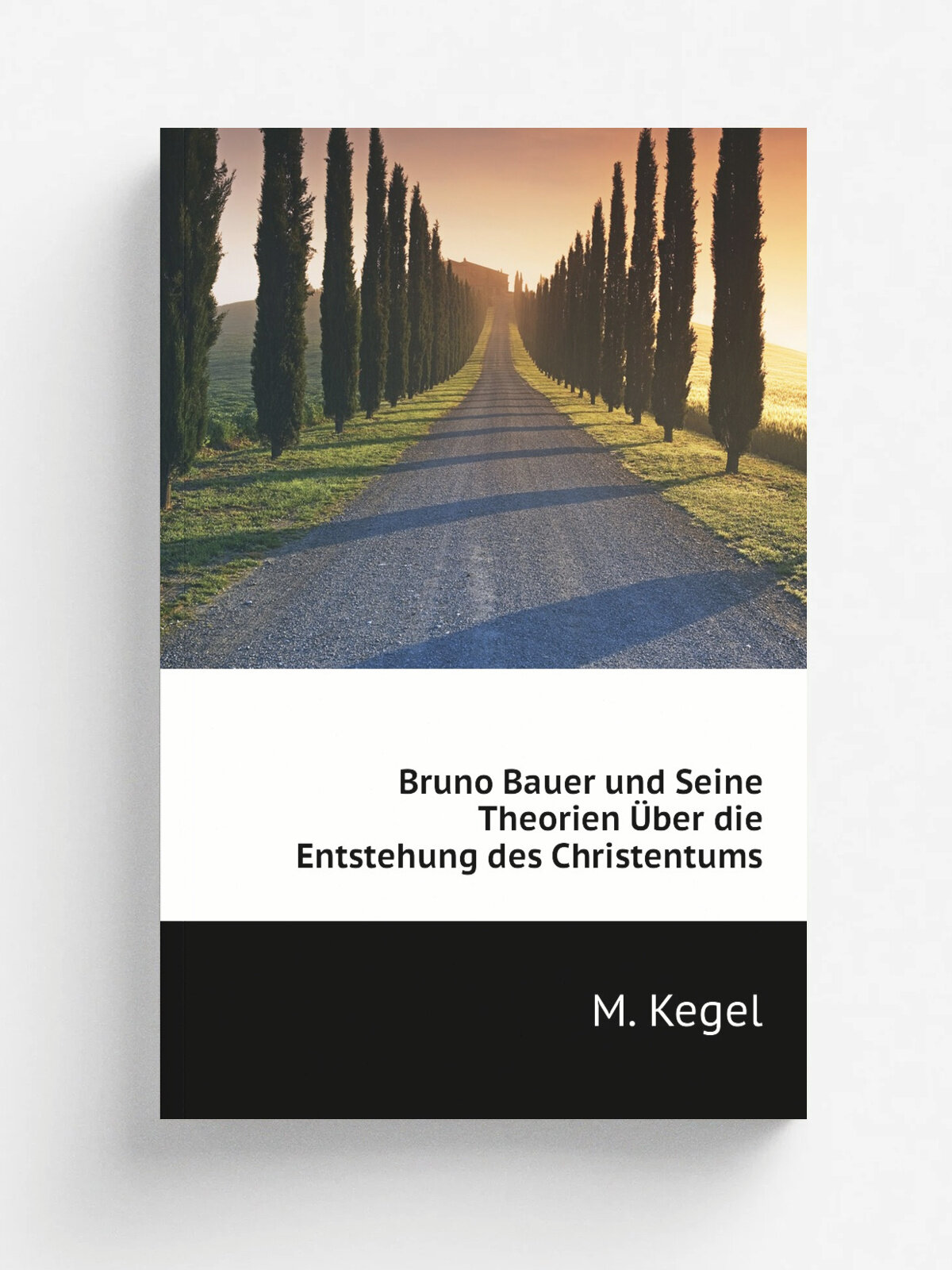 Bruno Bauer und Seine Theorien . ber die Entstehung des Christentums | M. Kegel | 1908 | Quelle & Meyer | Репринт