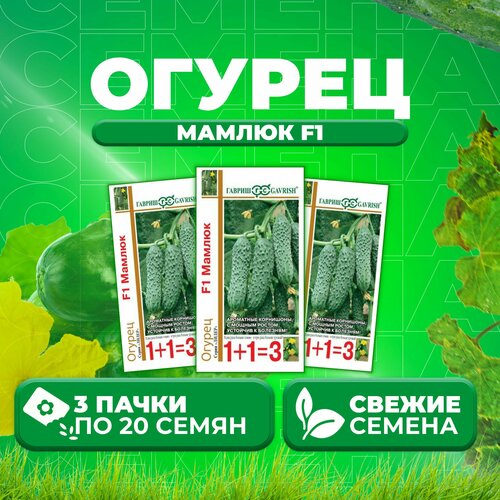 Огурец Мамлюк F1, 20шт, Гавриш, серия Лидер 1+1 (3 уп)