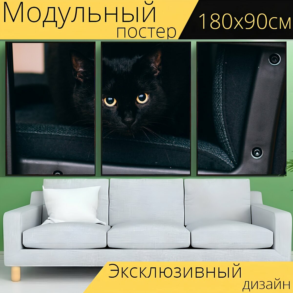 Модульный постер "Чернить, кошка, глаза" 180 x 90 см. для интерьера