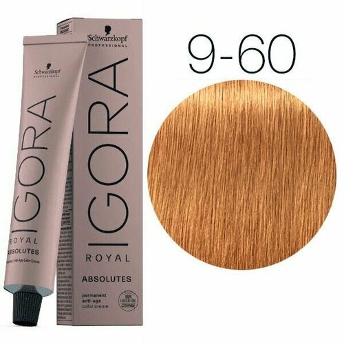 Schwarzkopf Professional Igora Royal Absolutes 9-60 Блондин шоколадный натуральный 60 мл / Профессиональная краска для волос Шварцкопф Профессионал Игора Роял Абсолют