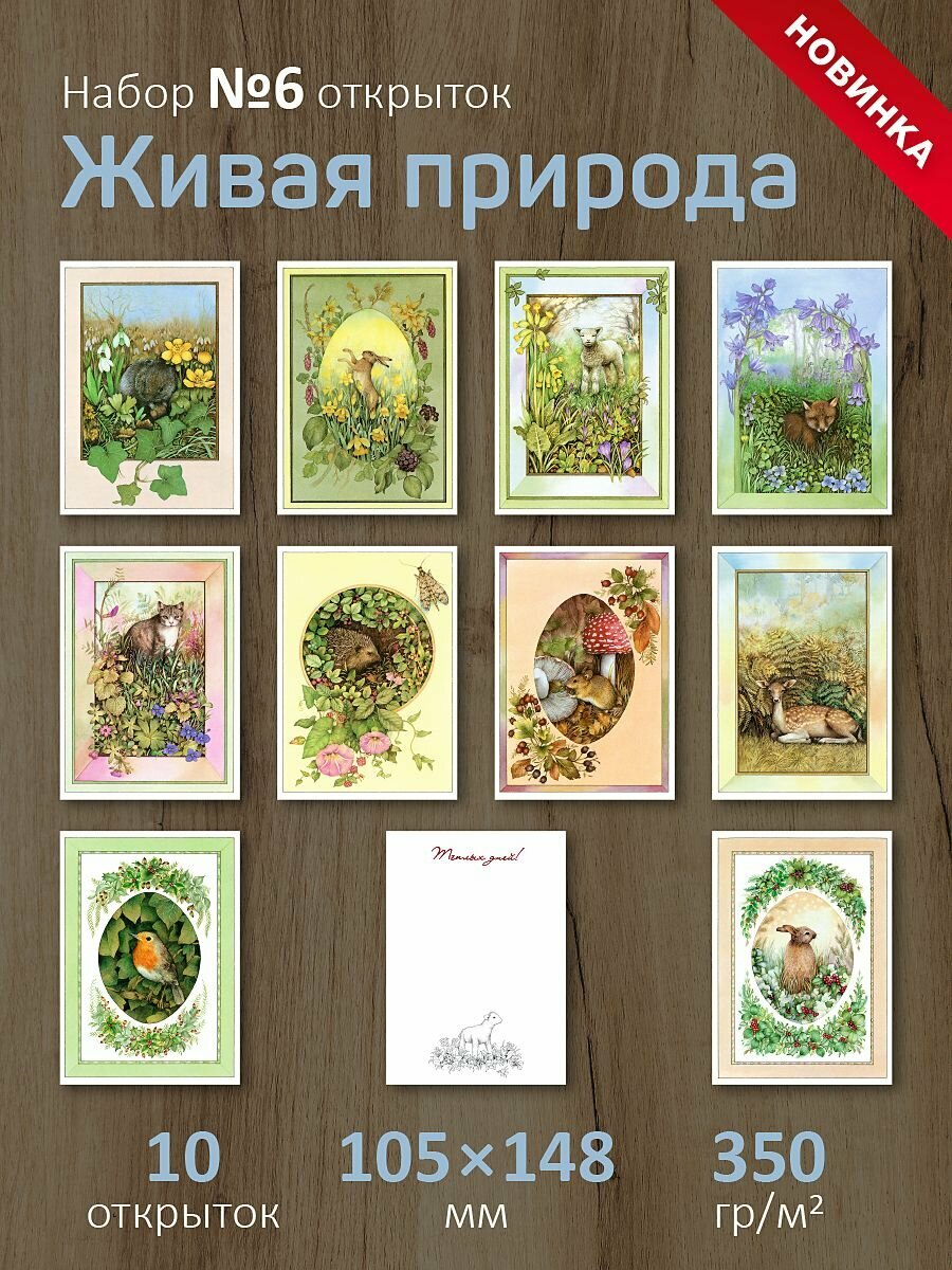 Набор открыток "Живая природа №6"