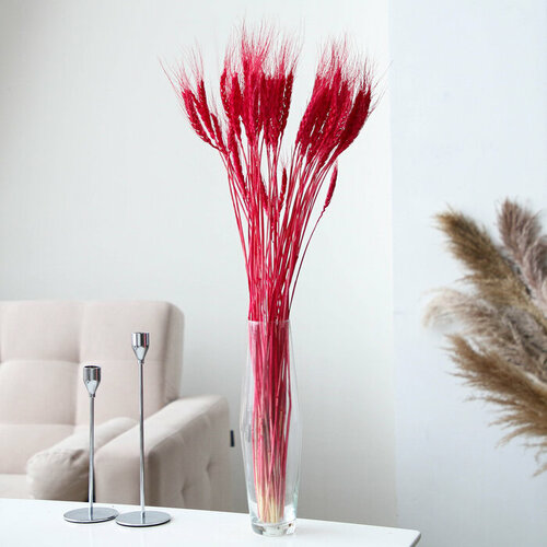 Сухой колос пшеницы набор 50 шт цвет красный 1392₽