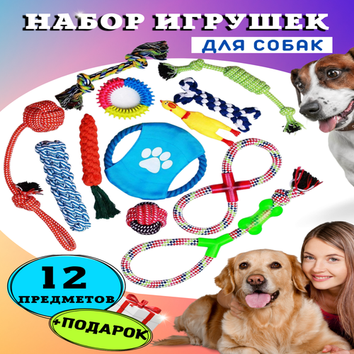 Разнообразный набор игрушек для собак