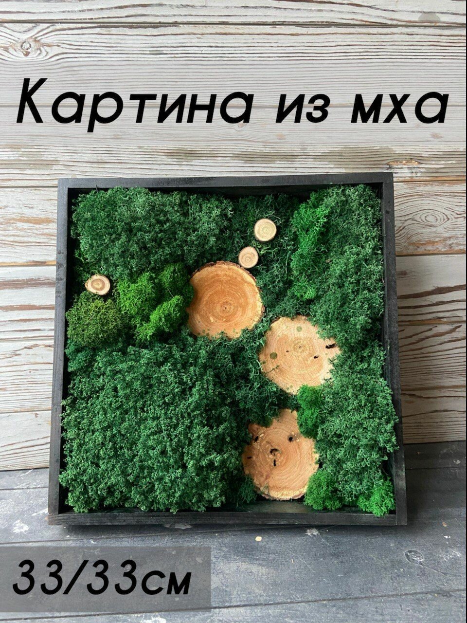 Картина из мха