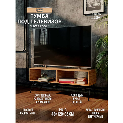 Тумба под телевизор в стиле Лофт Liverpool 120х35х43 см Чёрный Тумба под тв телевизор для телевизора тумба лофт икеа ikea Подставка полка под тв Тумбочка тумба под тв телевизор для телевизора для гостиной Мебель для гостиной офиса икеа ikea 4599₽