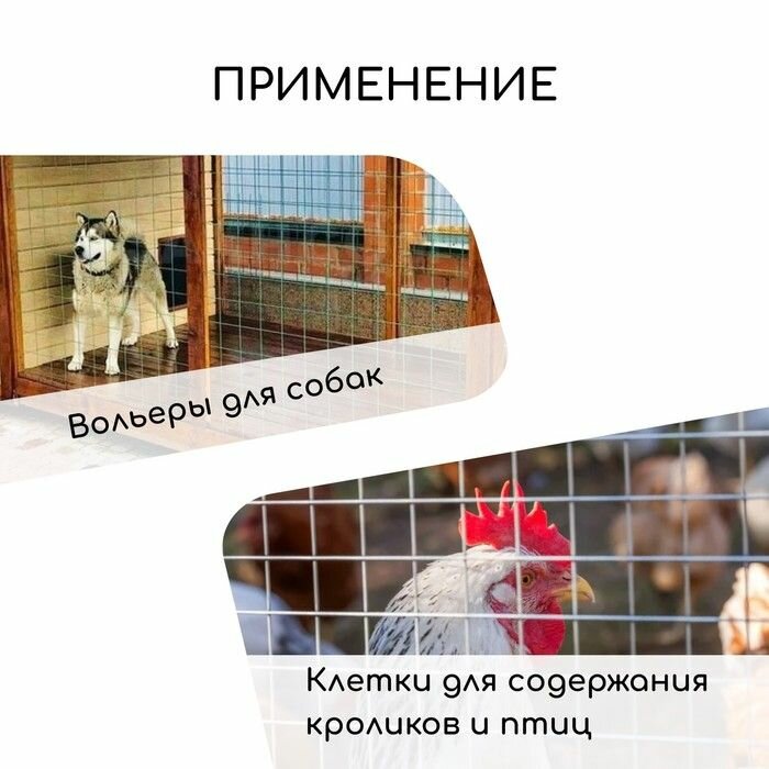 Изображение Сетка сварная с ПВХ покрытием, 5 0,5 м, ячейка 25 25 мм, d 0,9 мм, металл, Greengo