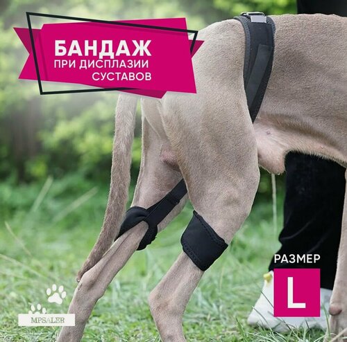 Изображение товара Бандаж при дисплазии тазобедренного сустава собак (дтбс), на лапы размер L.