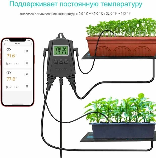 Wi-Fi термостат INKBIRD IPT-2CH цифровой термостат, двойной релейный выход — фото 1