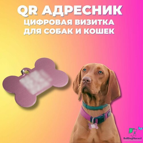 Адресник для собак и кошек с гравировкой QR кода, косточка адресник с гравировкой для собак и кошек