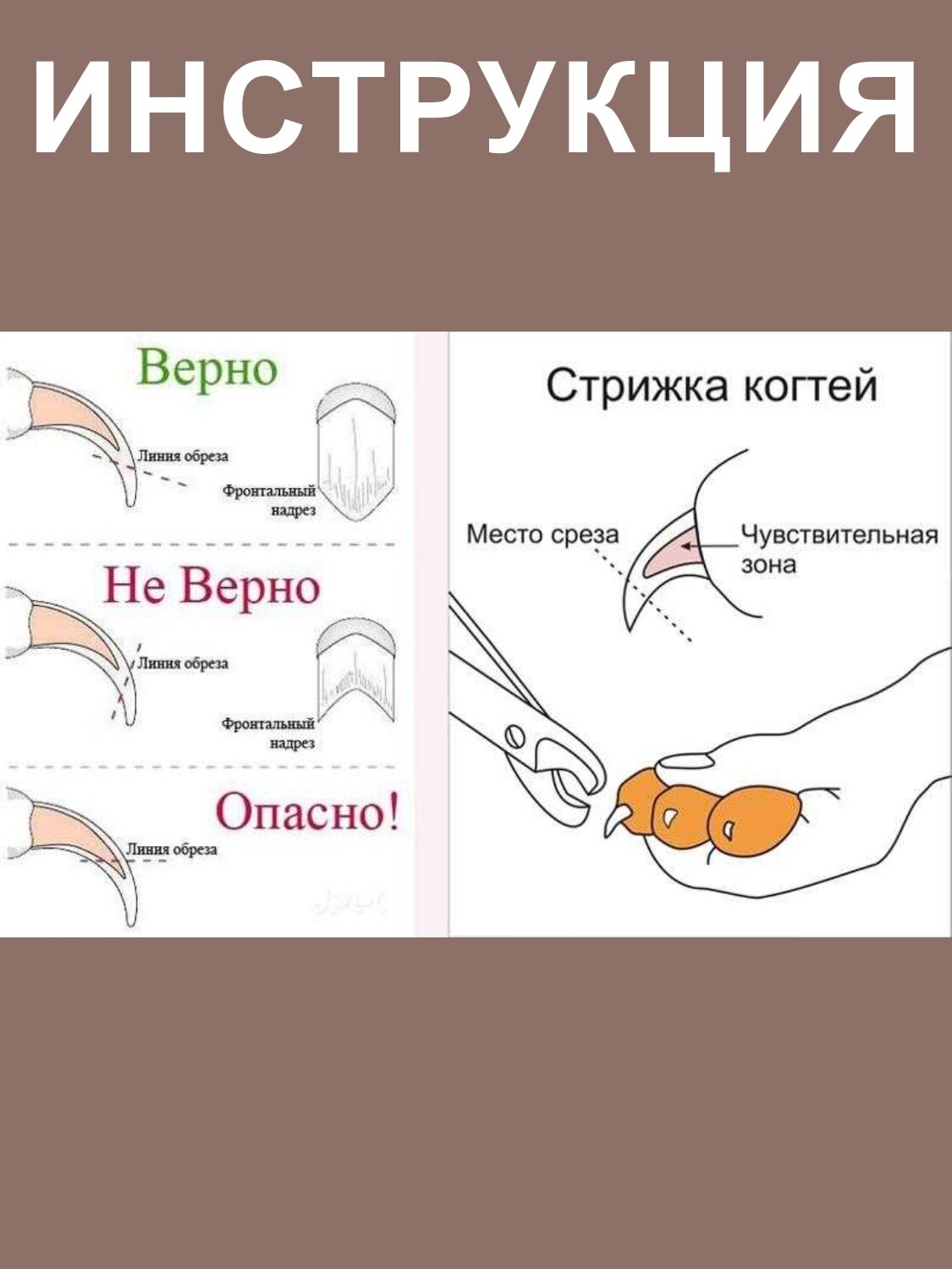 Когтерезка для кошек и собак. Когтерез для животных - фотография № 5