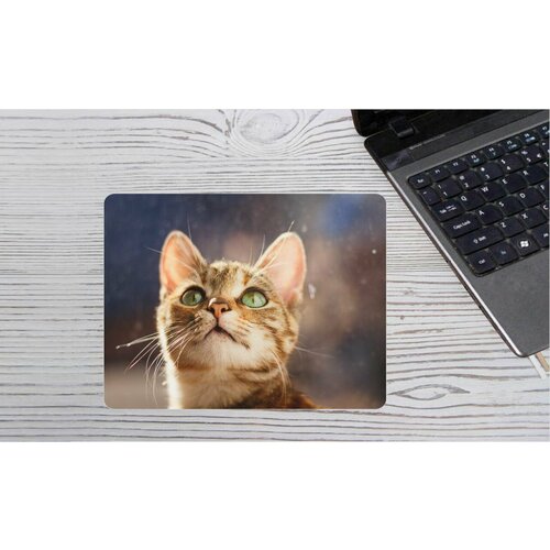 Коврик для мыши 