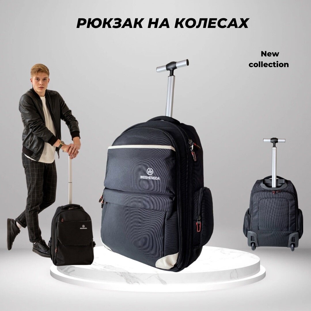 фото Рюкзак на колесах с выдвижной ручкой