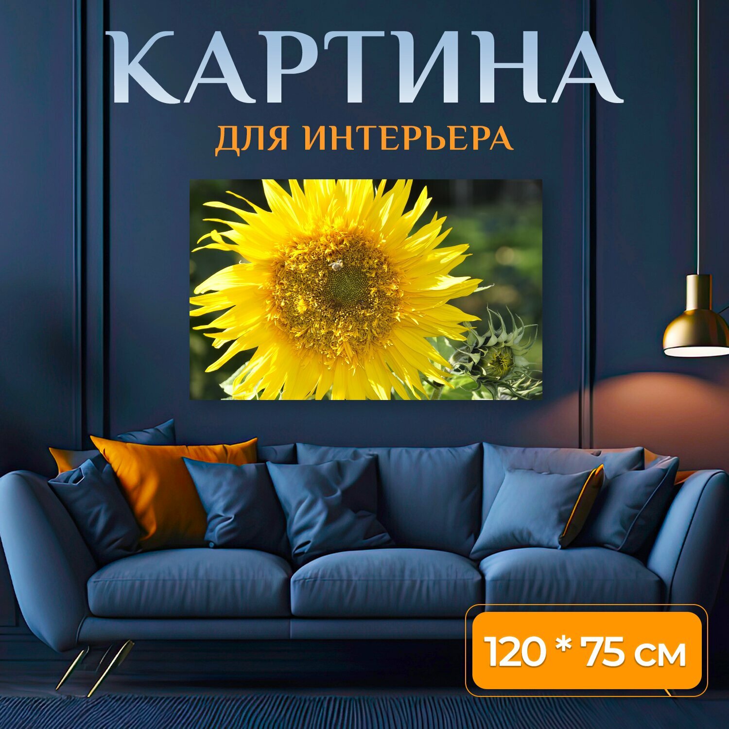 Картина на холсте "Подсолнух, цвести, пчела" на подрамнике 120х75 см. для интерьера