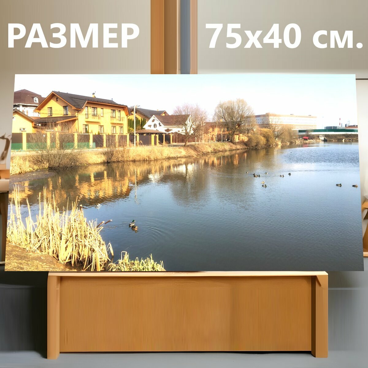 Картина на холсте "Озеро, утки, дома" на подрамнике 75х40 см. для интерьера