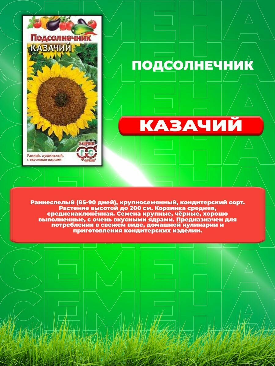 Подсолнечник Казачий 10 г