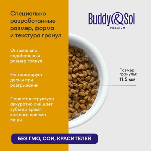 Сухой корм для стерилизованных кошек Buddy&Sol 400 г премиум-класса с курицей
